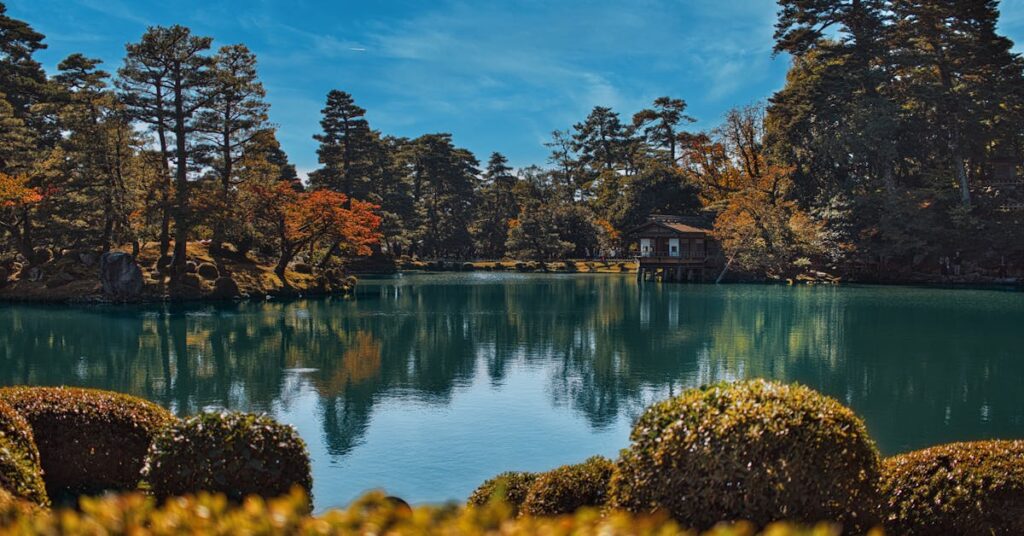 pexels-photo-29393696