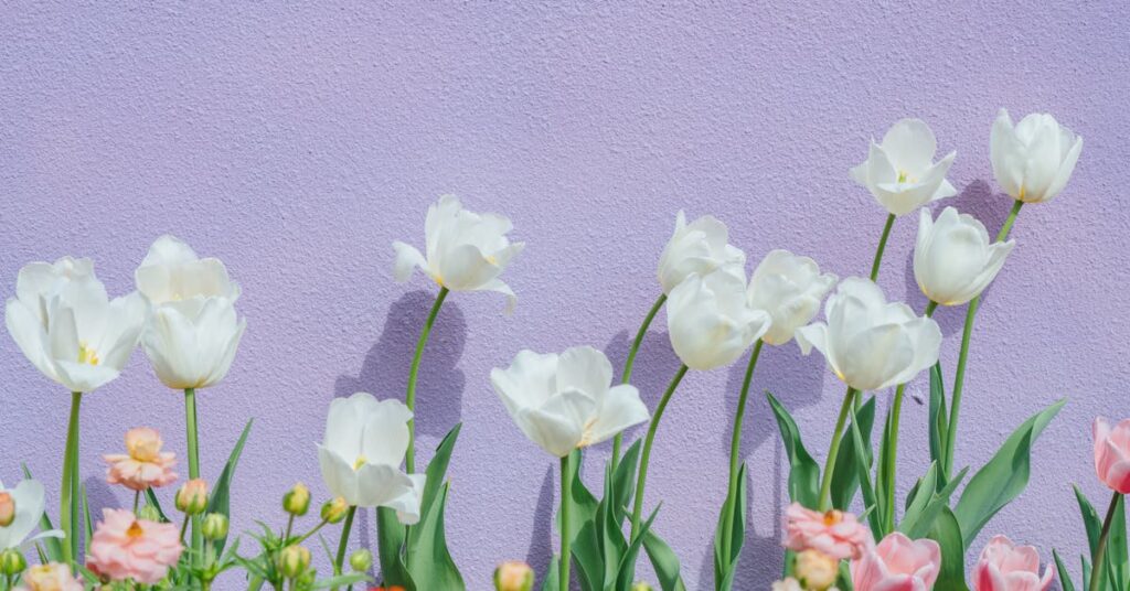 pexels-photo-30794339