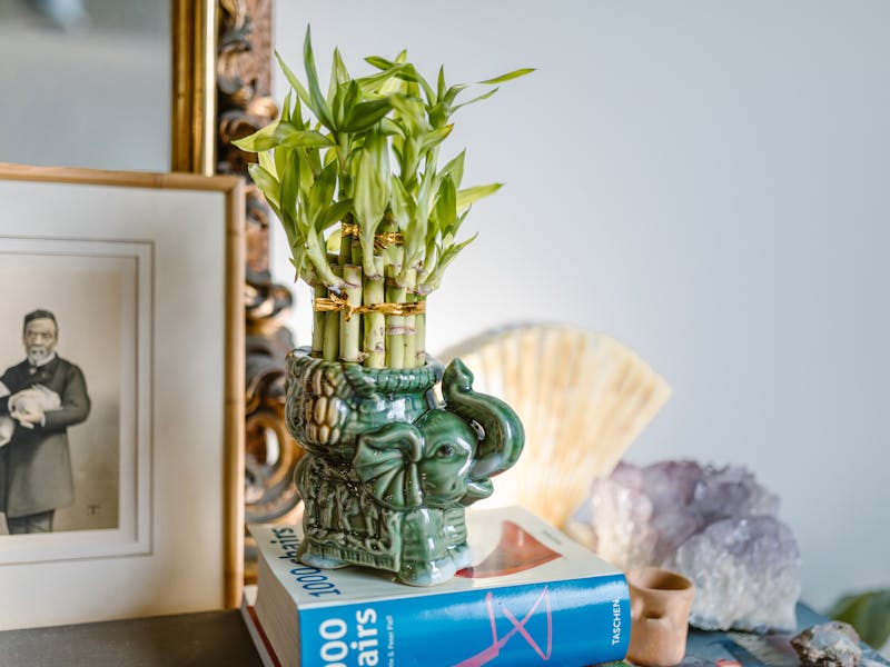 **Kako Urediti Svoj Dom za Privlačenje Sreće i Bogatstva: Feng Shui Savjeti** - Third Image