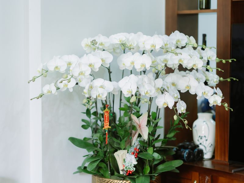 **Kako Urediti Svoj Dom za Privlačenje Sreće i Bogatstva: 8 Feng Shui Savjeta** - Second Image
