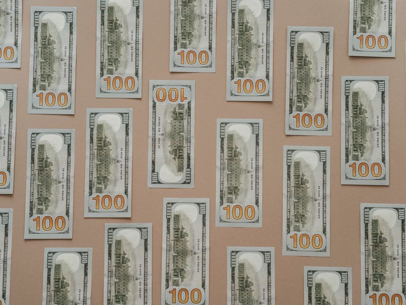 **Kako Zaraditi Novac od Vrtlarstva: Uputstvo za Profitabilno Sađenje u Bašti** - Second Image