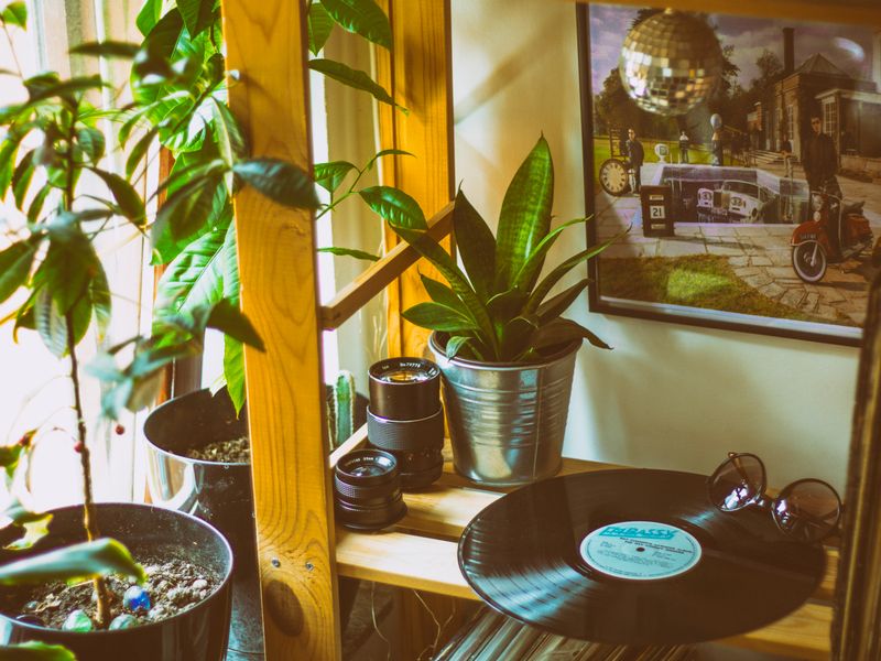 Savjeti za Feng Shui koji će vašem domu donijeti obilje i prosperitet - Second Image