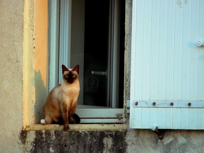 Buđ oko silikona se stalno vraća? Evo kada je potrebna zamjena silikona - Third Image