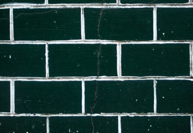 pexels-photo-6910288